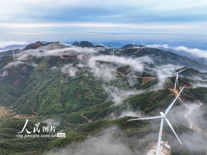 全民剧本大师内置菜单